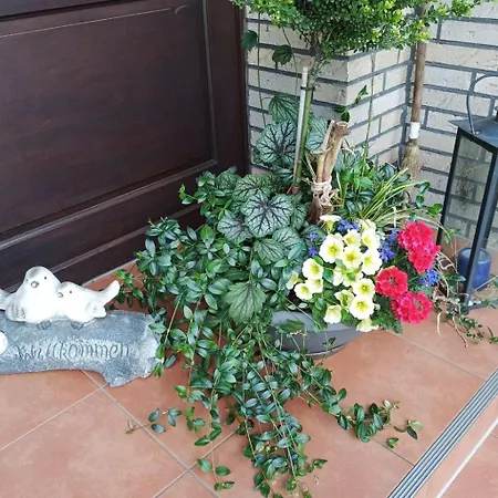Zwei Finken In By Interhome * Wiesmoor