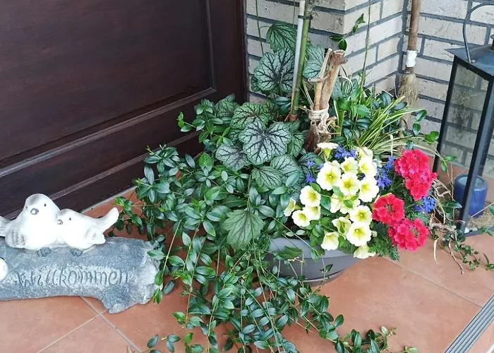Zwei Finken In By Interhome * Wiesmoor